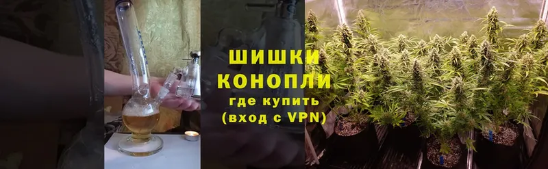 купить   Новоалтайск  Шишки марихуана OG Kush 